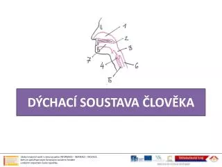 d chac soustava lov ka