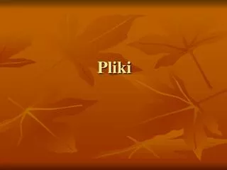 pliki