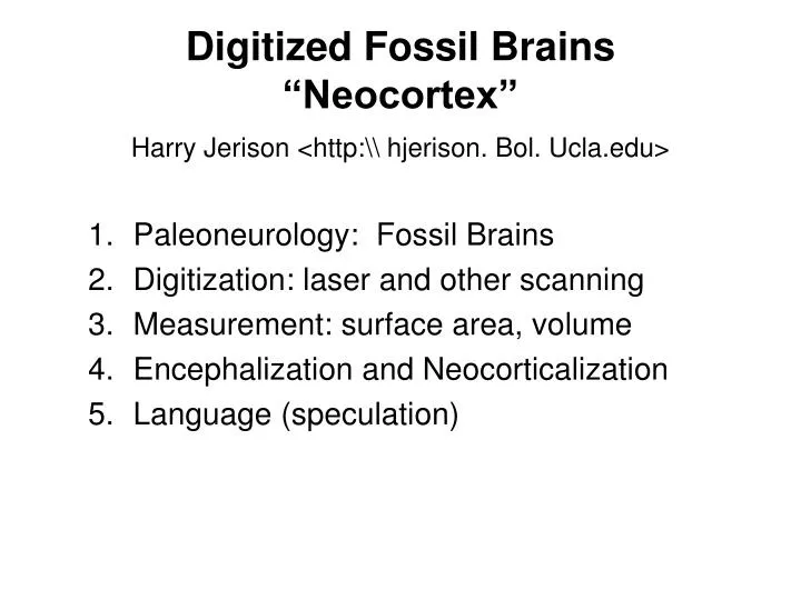 digitized fossil brains neocortex