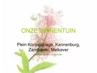 onze binnentuin