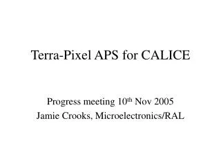 Terra-Pixel APS for CALICE