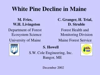 White Pine Decline in Maine