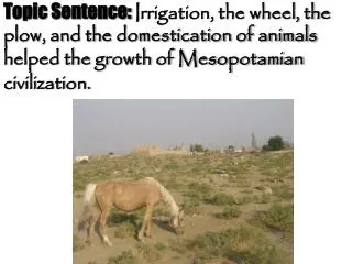Main Point #1: First, irrigation helped the growth of Mesopotamian civilization.