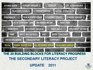 THE SECONDARY LITERACY PROJECT UPDATE 2011