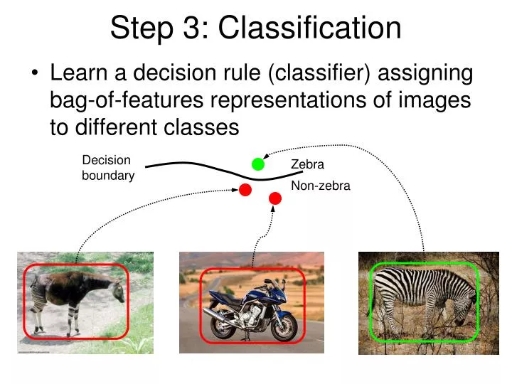 step 3 classification
