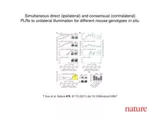 T Xue et al. Nature 479 , 67 - 73 (2011) doi:10.1038/nature10567