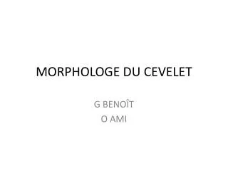 morphologe du cevelet