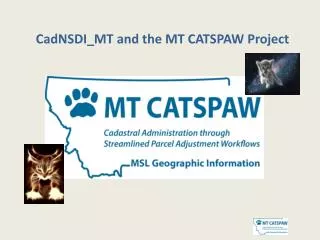 CadNSDI_MT and the MT CATSPAW Project