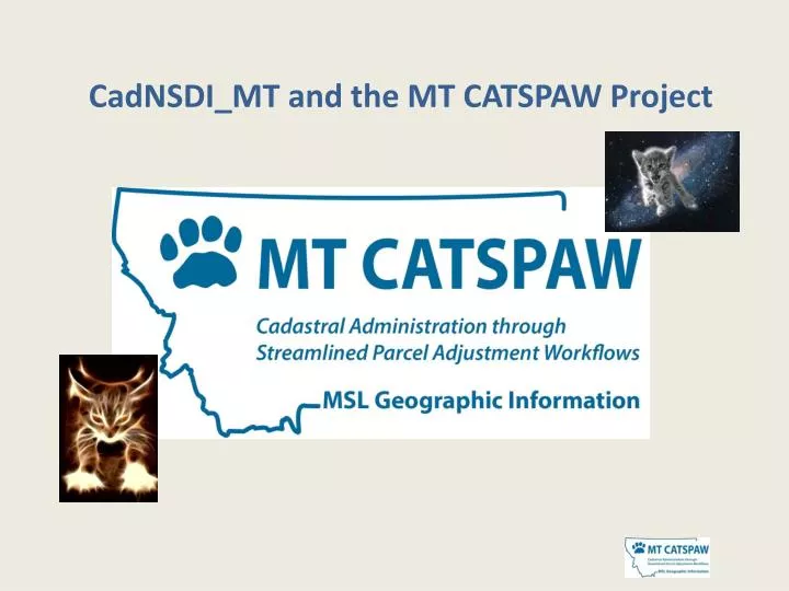 cadnsdi mt and the mt catspaw project