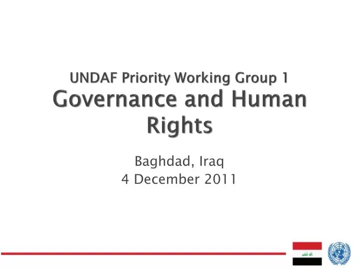 undaf priority working group 1 governance and human rights