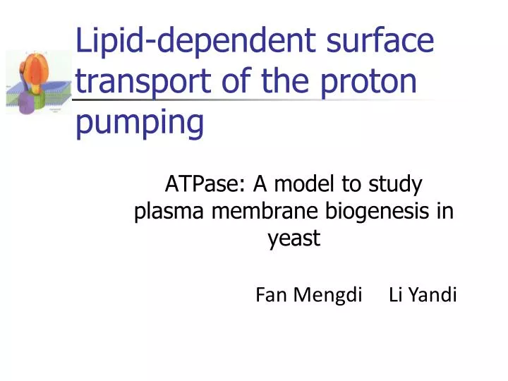 lipid dependent surface transport of the proton pumping