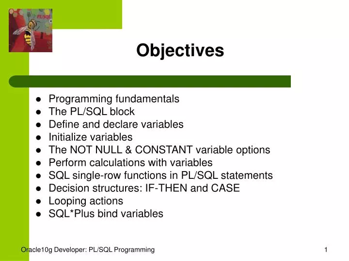 objectives