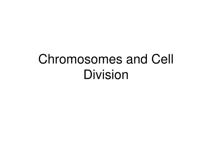 chromosomes and cell division