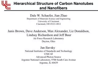 Hierarchical Structure of Carbon Nanotubes and Nanofibers