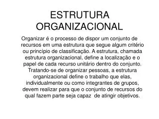 estrutura organizacional