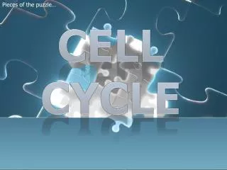 Cell Cycle