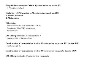 His pull-down assay for Orf6 in Mycobacterium sp. strain JC1 -&gt; Yeast two hybrid