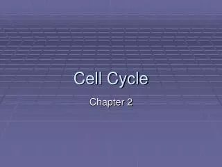 Cell Cycle