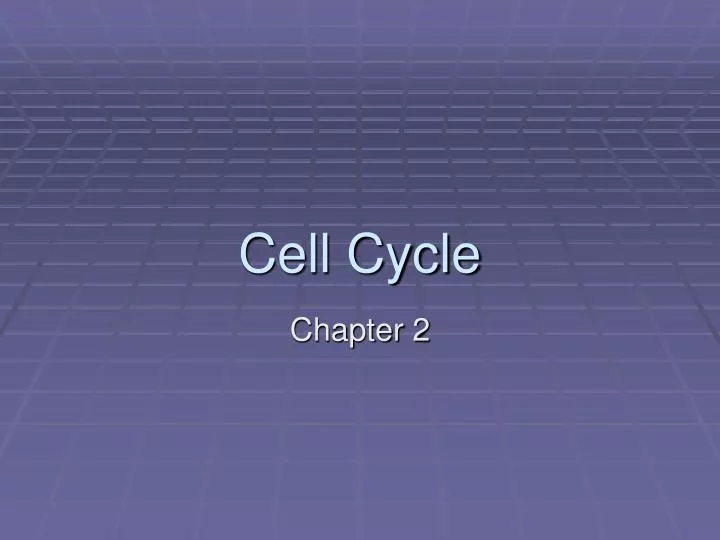 cell cycle