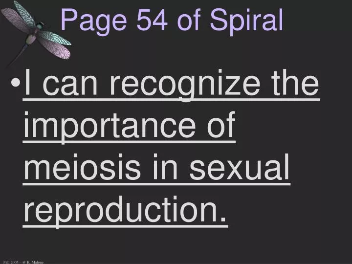 page 54 of spiral
