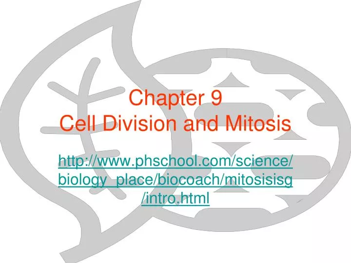chapter 9 cell division and mitosis