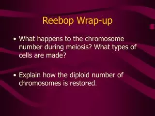 Reebop Wrap-up