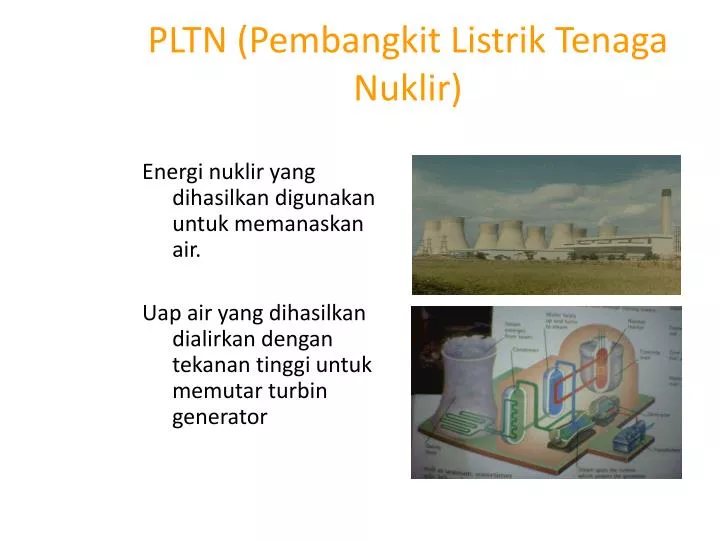 pltn pembangkit listrik tenaga nuklir
