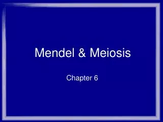 Mendel &amp; Meiosis