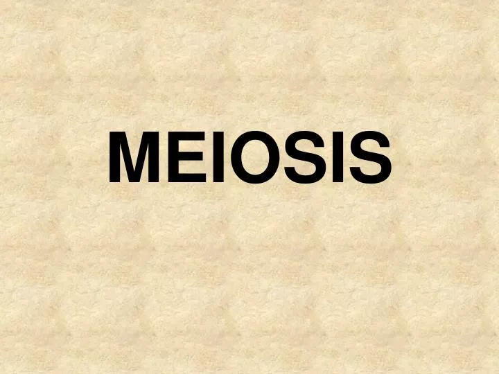 meiosis