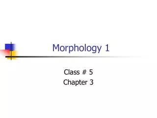 Morphology 1