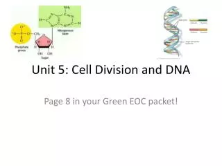 Unit 5: Cell Division and DNA