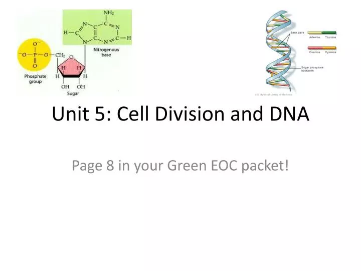 unit 5 cell division and dna