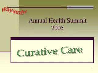 Annual Health Summit 2005