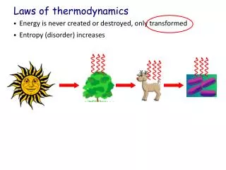 Laws of thermodynamics