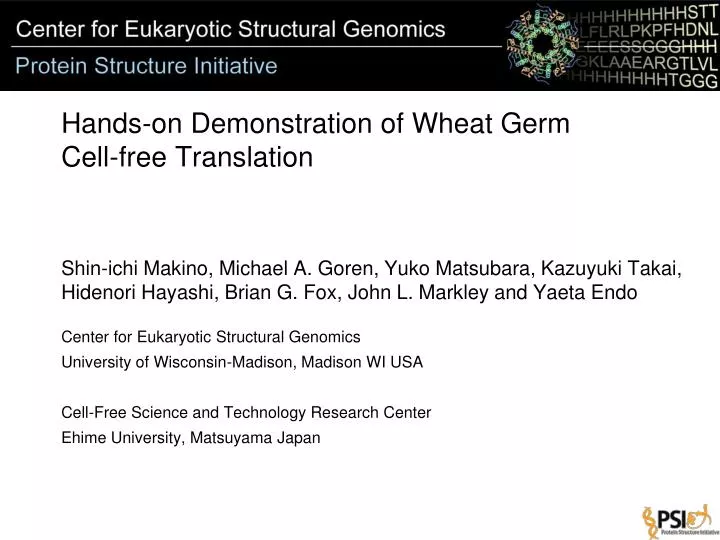 hands on demonstration of wheat germ cell free translation