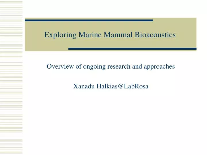 exploring marine mammal bioacoustics