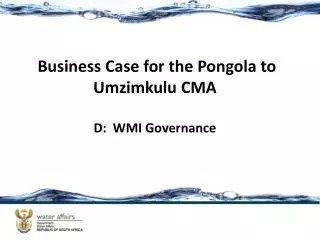 Business Case for the Pongola to Umzimkulu CMA D: WMI Governance