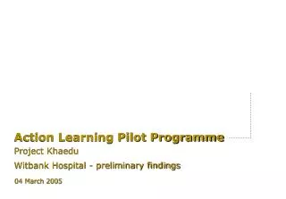 Action Learning Pilot Programme