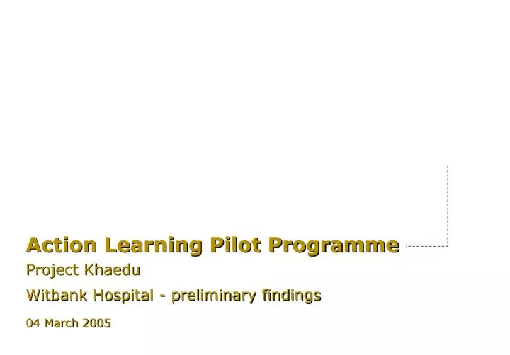 action learning pilot programme