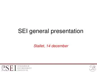 SEI general presentation