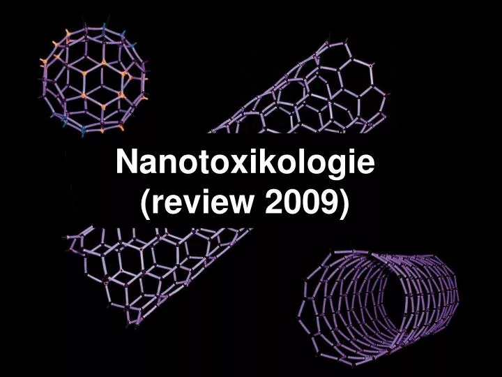 nanotoxikologie review 2009