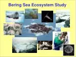 Bering Sea Ecosystem Study