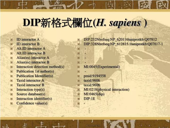 dip h sapiens