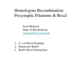 Homologous Recombination: Presynaptic Filaments &amp; Brca2 		Scott Morrical 		Dept. of Biochemistry