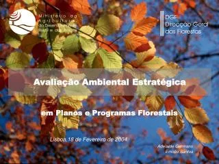 avalia o ambiental estrat gica