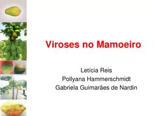 viroses no mamoeiro