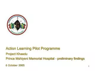 Action Learning Pilot Programme