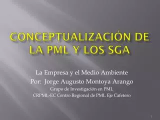 conceptualizaci n de la pml y los sga