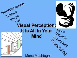 Visual Perception: It Is All In Your Mind