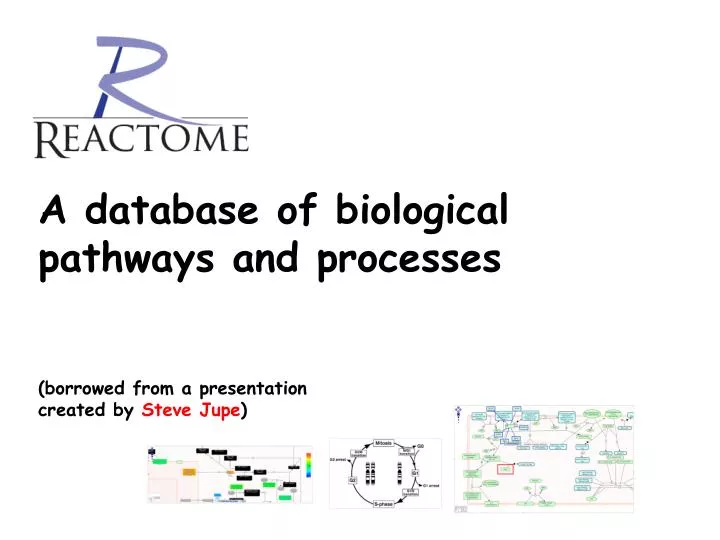 a database of biological pathways and processes borrowed from a presentation created by steve jupe